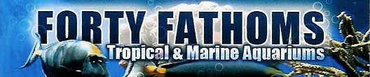 Forty Fathoms