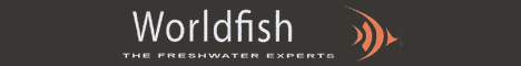 WorldFish Banner