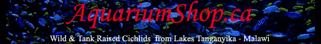 Aquarium Shop Banner
