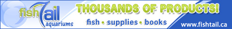 Fishtail.ca Banner