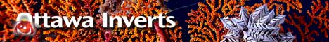 Ottawa Inverts Banner