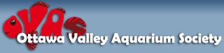 Ottawa Valley Aquarium Society