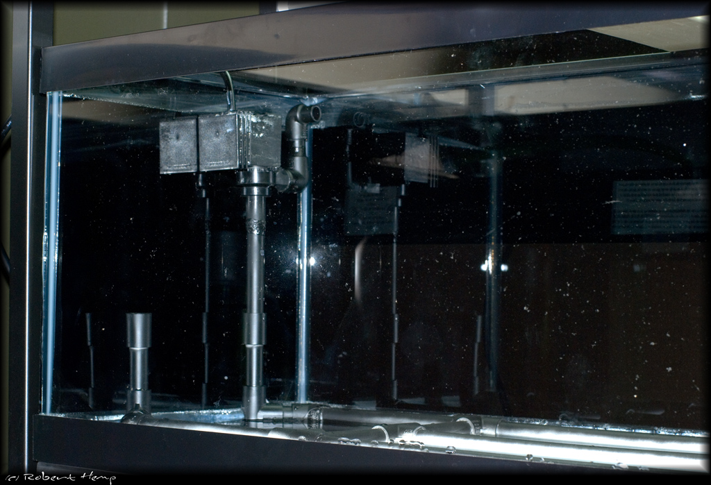 Stream Intake System Little pleco stream (journal)