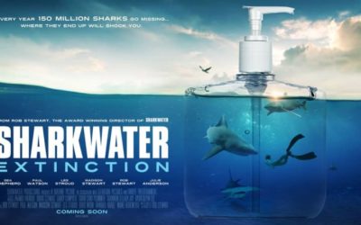 SHARKWATER EXTINCTION: WIN TICKETS TO SPECIAL SHOWING