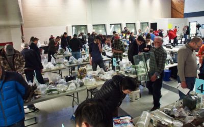 ANNUAL OVAS AUCTION: APRIL 28, 2019