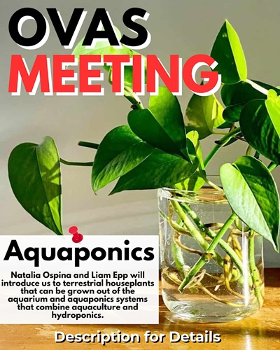 Poster for Sept 2024 Meeting